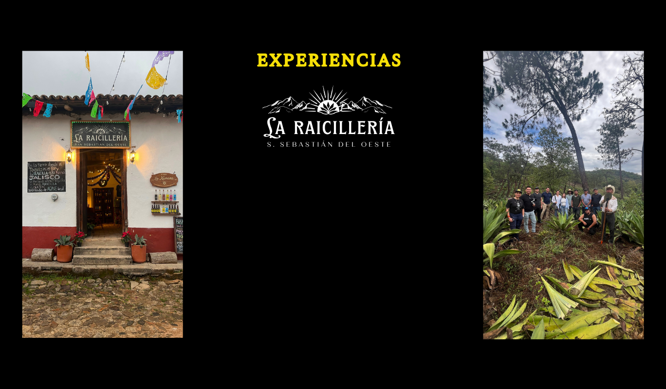 Catas y tours de raicilla en La Raicillería de 3 Perros Negros, San Sebastián del Oeste, Jalisco
